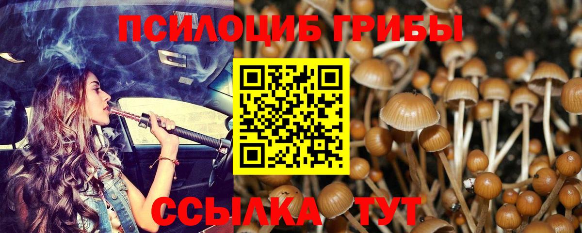 Кулебаки  Галлюциногенные грибы Cubensis  Вход с VPN  Галлюциногенные грибы ЛСД 