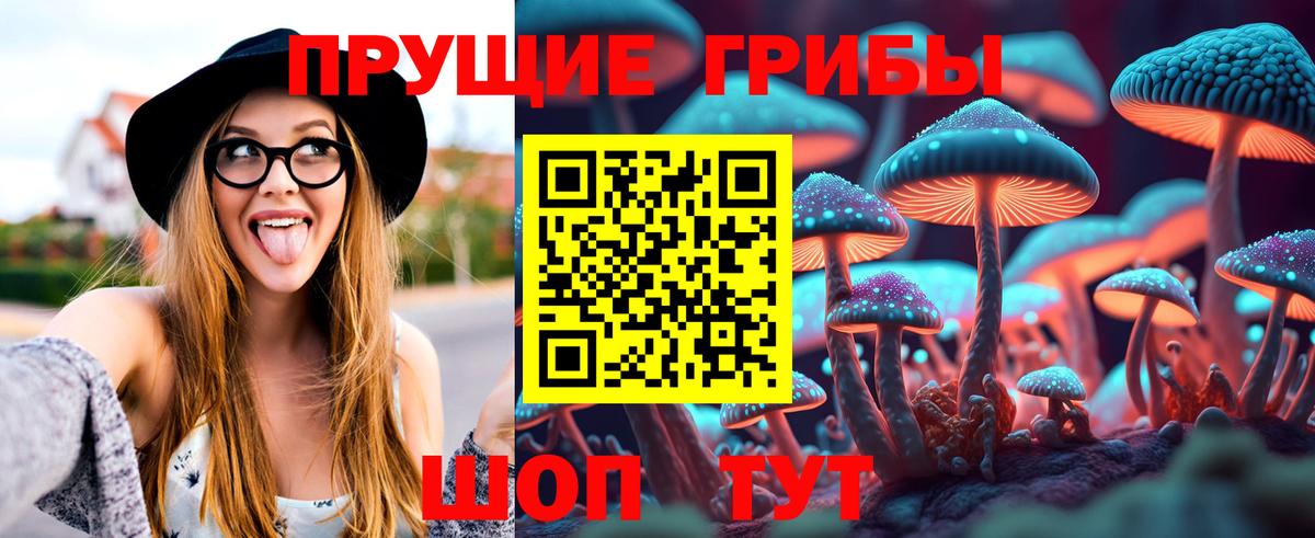 Псилоцибиновые грибы ЛСД Кулебаки